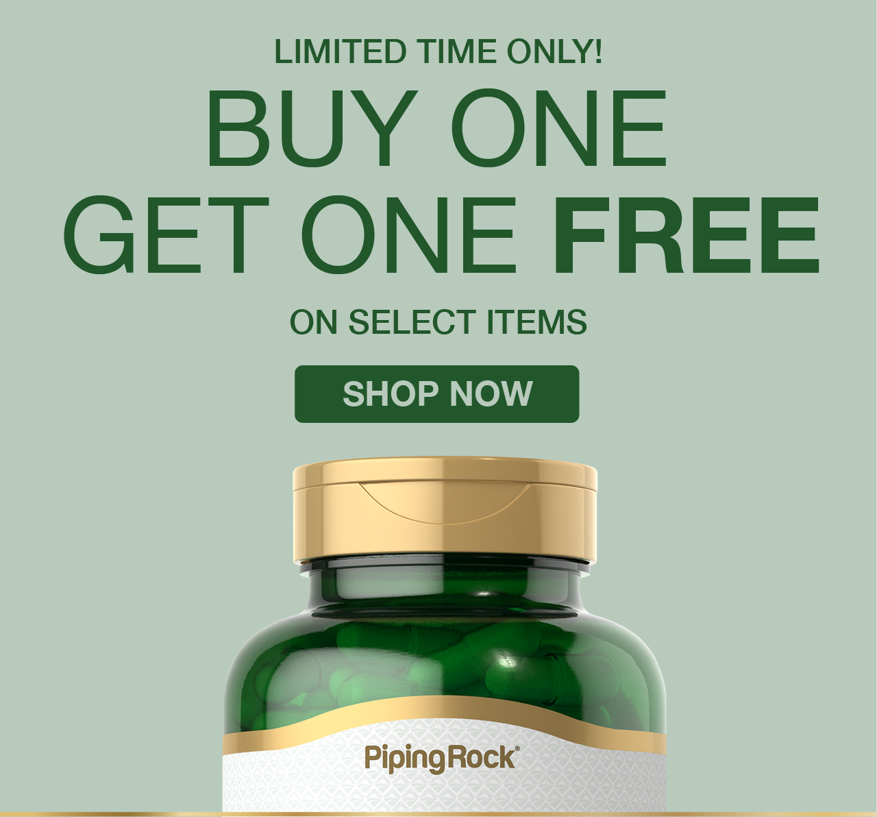 Buy One, Get One Free on Select PipingRock Items - Shop Now