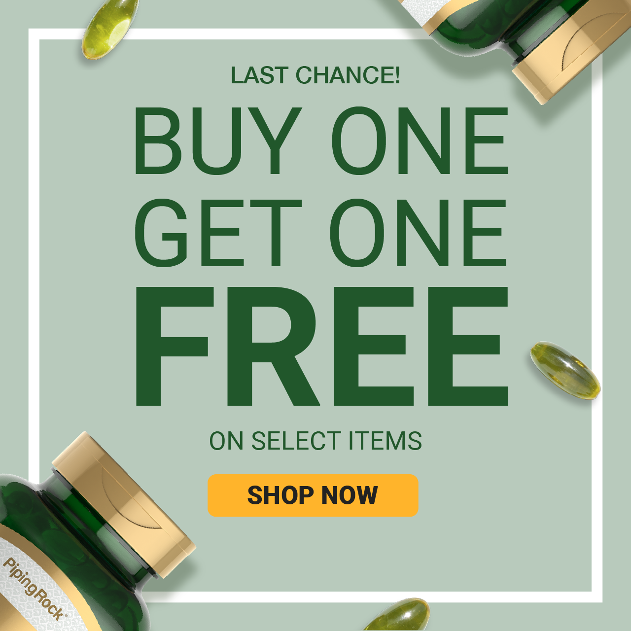 Buy One, Get One Free on Select PipingRock Items - Shop Now