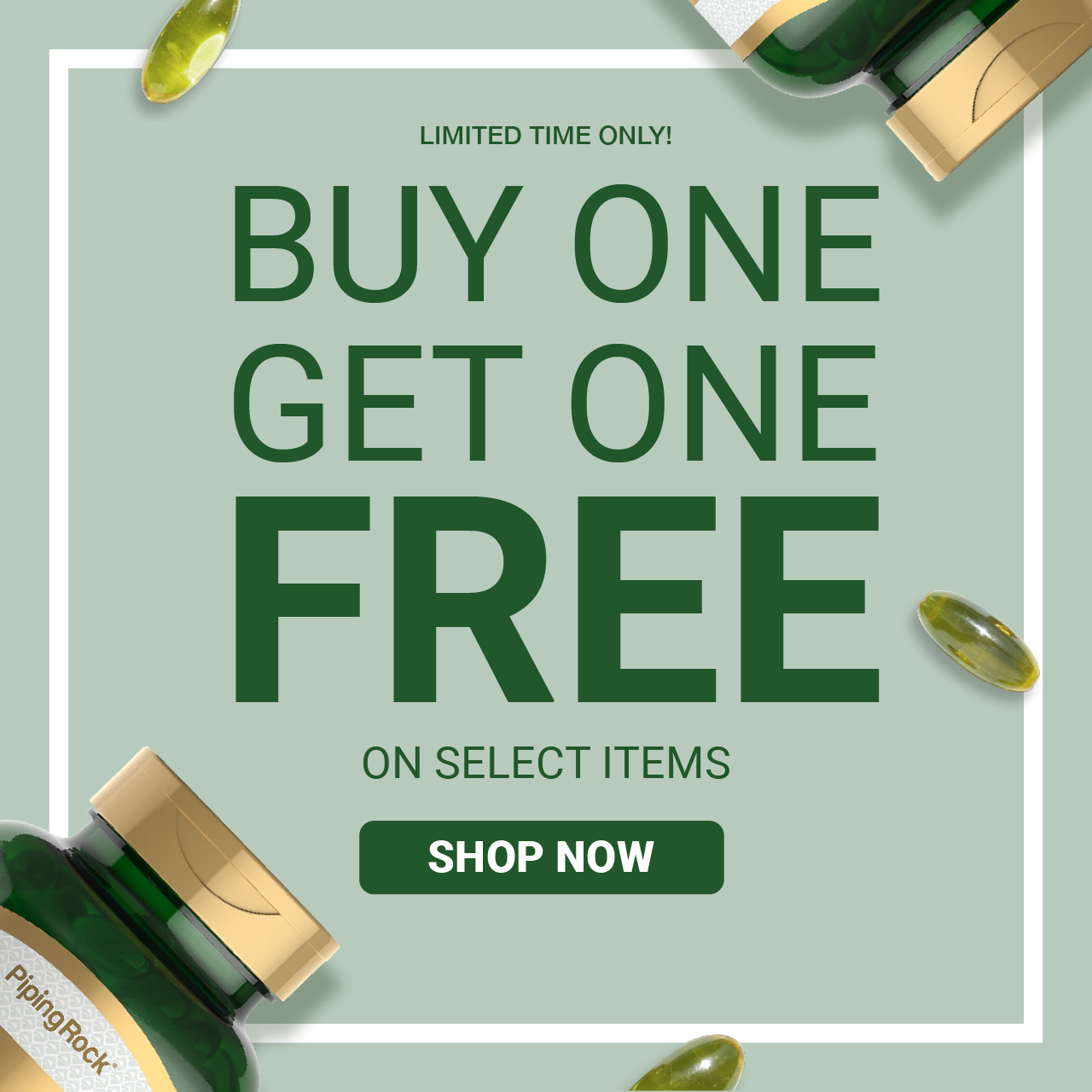 Buy One, Get One Free on Select PipingRock Items - Shop Now