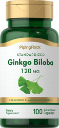 Ginkgo Biloba Extract 120 mg Pills