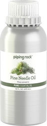 Pine needle esencijalno ulje čistoće (GC/MS Provjereno) 16 fl oz (473 mL) Kanistar